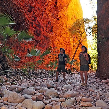 Bungle Bungle Wilderness Lodge Turkey Creek Екстер'єр фото