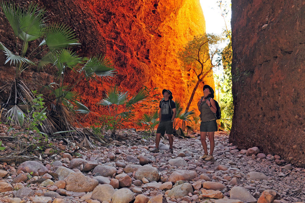 Bungle Bungle Wilderness Lodge Turkey Creek Екстер'єр фото
